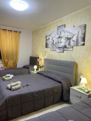 Bojano Bed & Breakfast | B&B Bovianum
