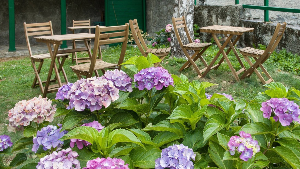 Groscavallo Bed & Breakfast | B&B Ca' d'Ambra