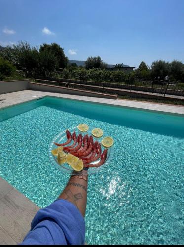 Santa Maria del Cedro Bed & Breakfast | B&B Caput Mundi-Calabria