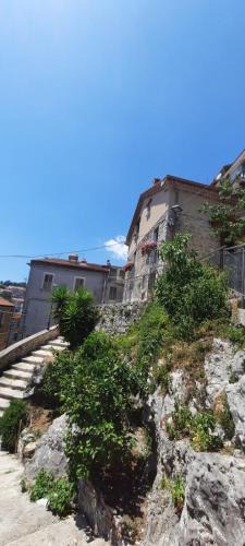 Caselle in Pittari Bed & Breakfast | B&B CasaCaselle