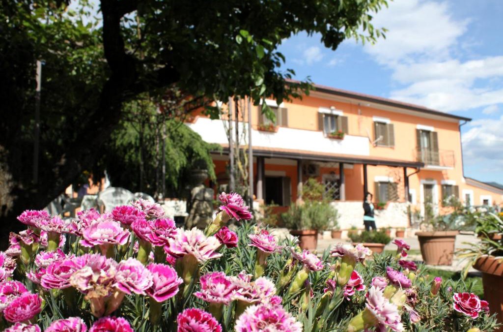Piedimonte San Germano Bed & Breakfast | B&B Casale Shanti