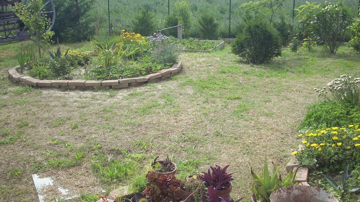 Taglio di Po Bed & Breakfast | B&B da Toni