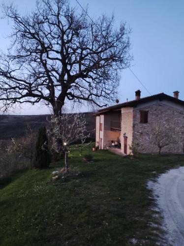 Zocca Bed & Breakfast | B&B del Fernè