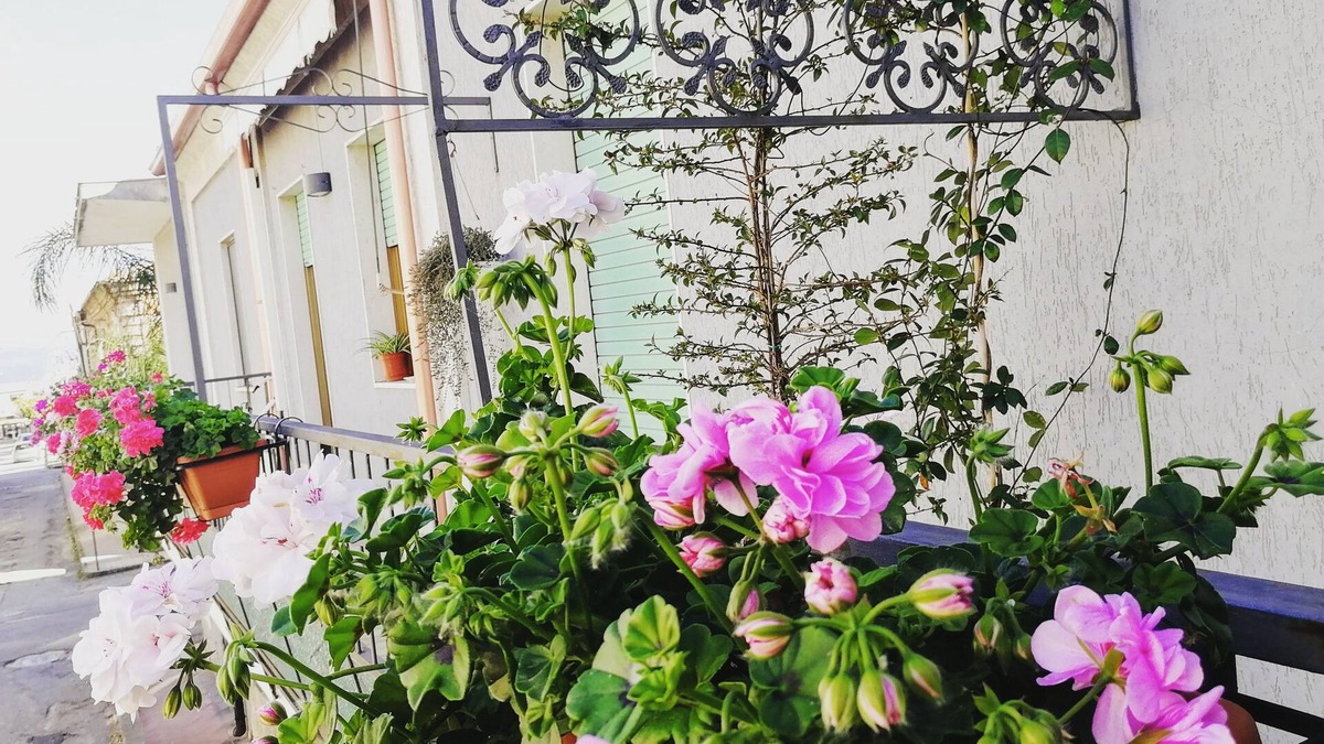 Mileto Bed & Breakfast | B&B Donna Melina