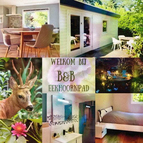 Municipality of Tilburg Bed & Breakfast | B&B Eekhoornpad