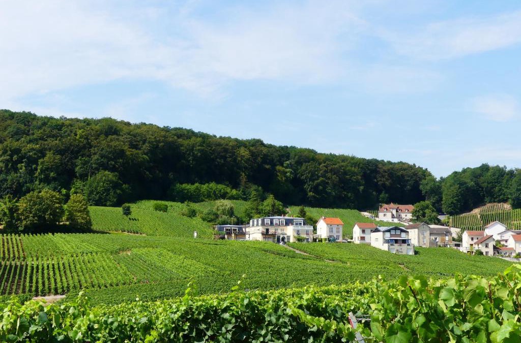 Cramant House | B&B en Champagne