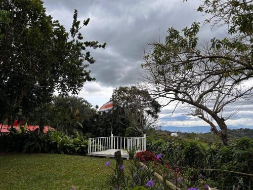 San Jose Bed & Breakfast | B&B Garden Grecia