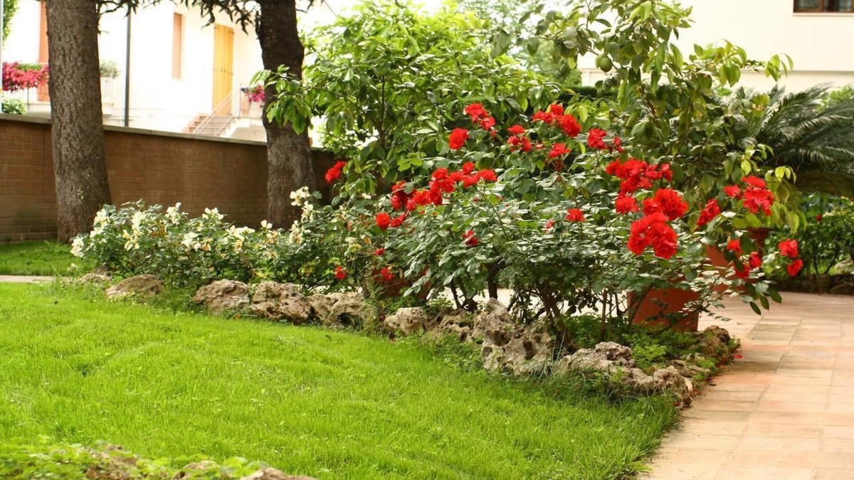 San Faustino-Madonnina-Quattroville Bed & Breakfast | B&B Igea 50