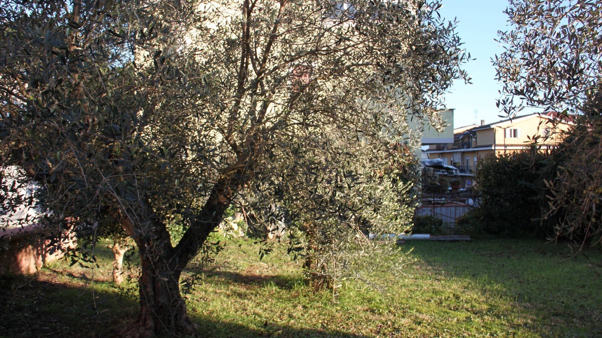 Valmontone Bed & Breakfast | B&B Il Melograno