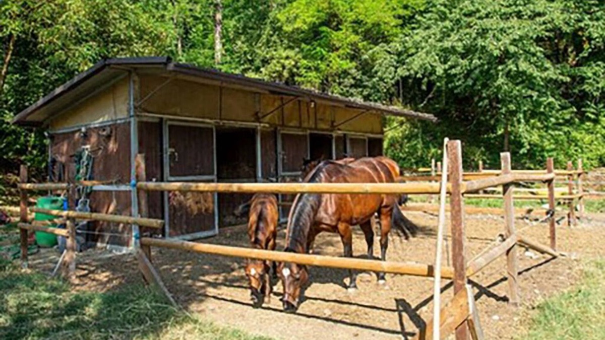 Bassano Sotto Bed & Breakfast | B&B in Valtrebbia