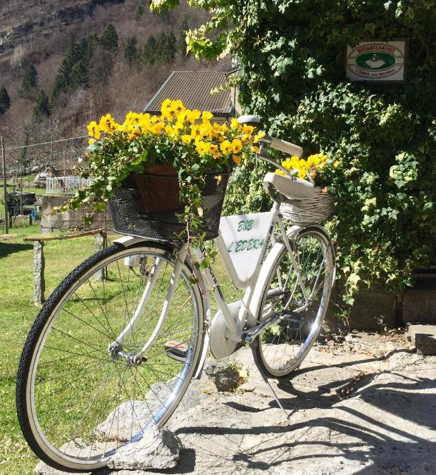 Crodo Bed & Breakfast | B&B L'Edera