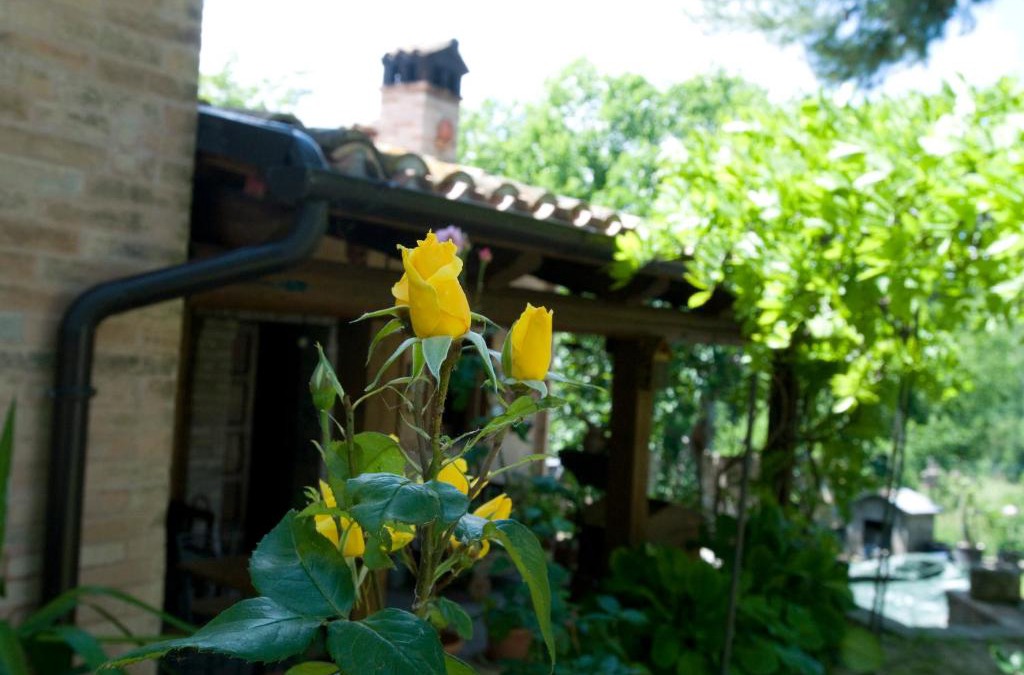 Montegiorgio House | B&B La Cappellania