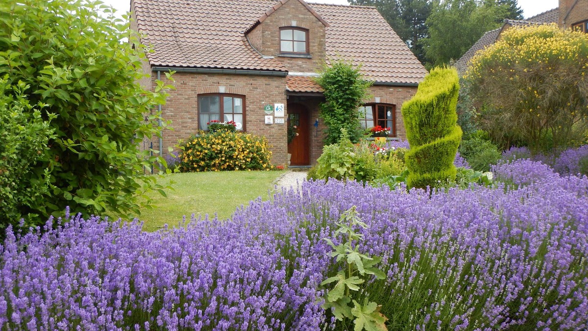Cuesmes Bed & Breakfast | B&B La Chrysalide