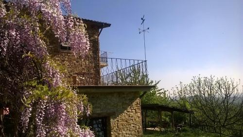 Ponzone Bed & Breakfast | B&B La Civetta