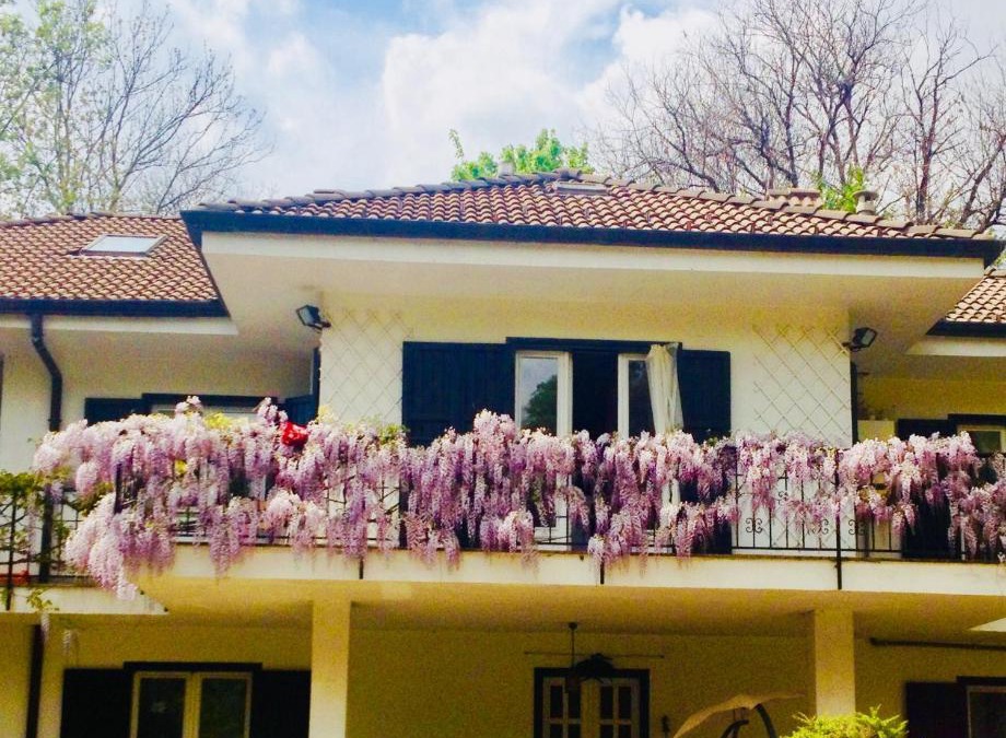 Cintano Bed & Breakfast | B&B La libellula