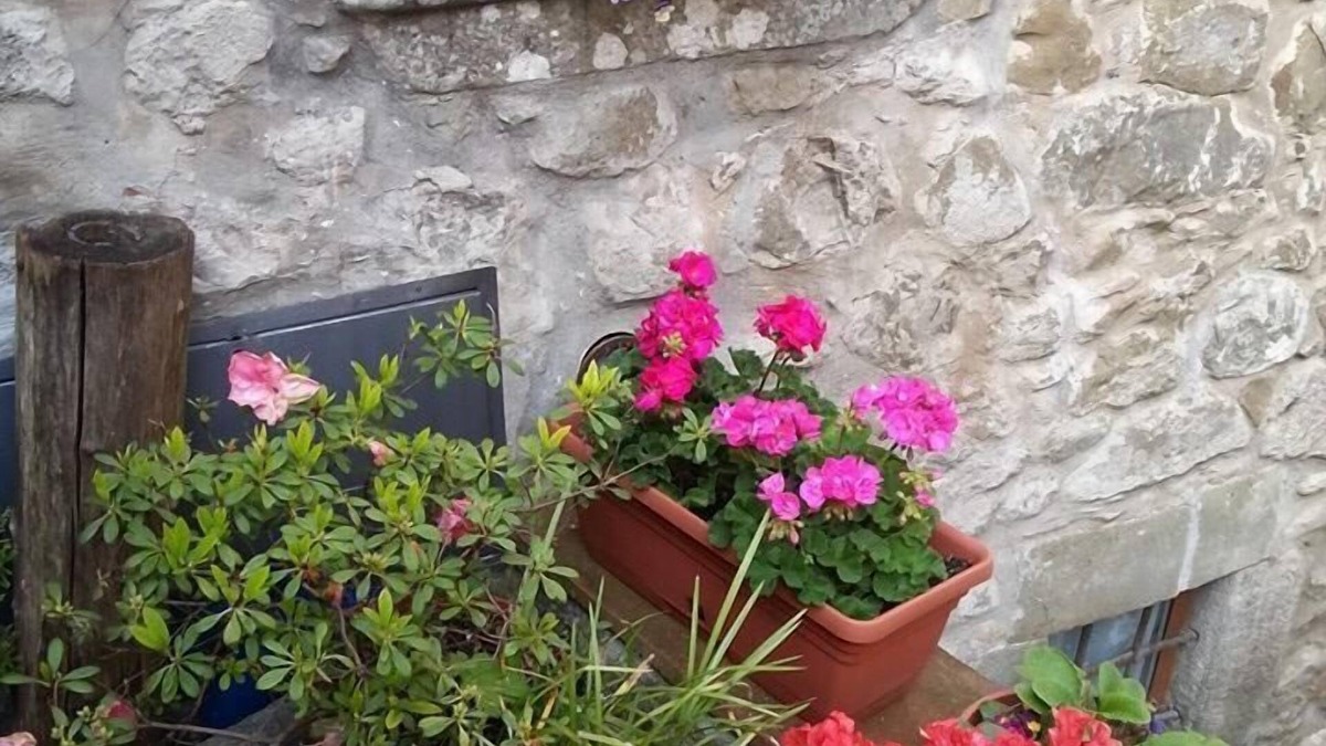 Casoli Bed & Breakfast | B&B La Margine con area benessere