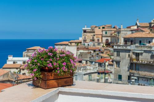 Cetraro Bed & Breakfast | B&B La Terrazza