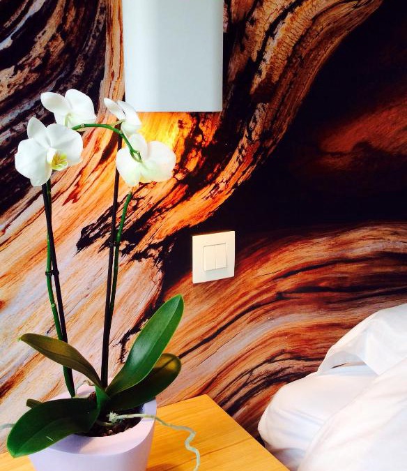 Lissewege Bed & Breakfast | B&B Lisdodde