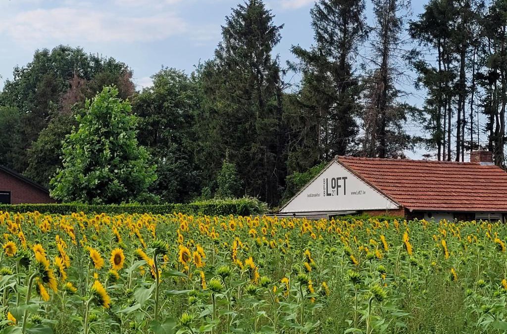 Ravels Bed & Breakfast | B&B LoFt 21