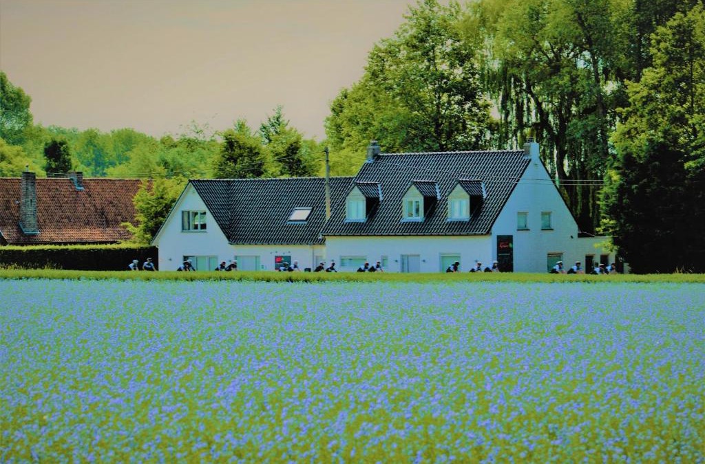 Kerkhove Bed & Breakfast | B&B Maison Kerkhove