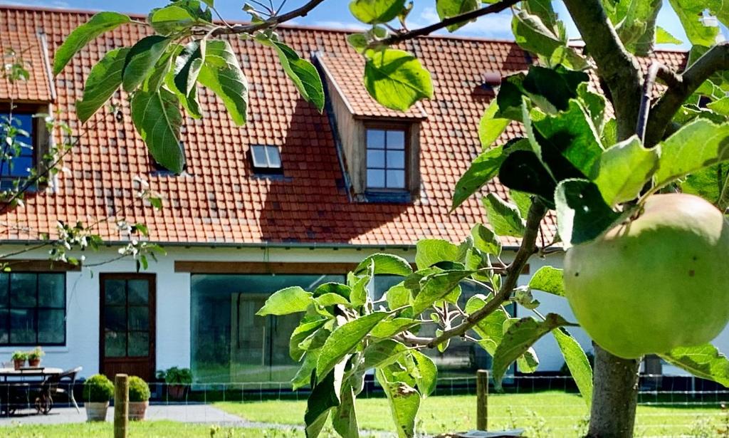 Deurne Bed & Breakfast | b&b Meilrijk