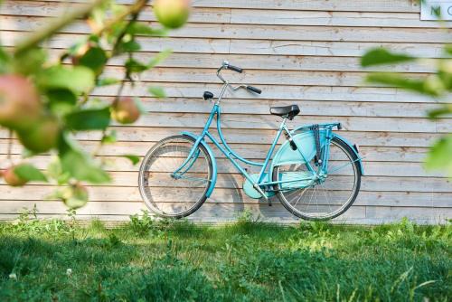 Oranjewijk Bed & Breakfast | B&B Molenstreek