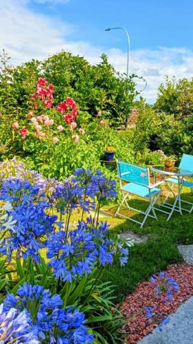 Hokitika Bed & Breakfast | B&B on Bealey