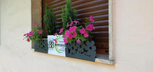 Sulmona Bed & Breakfast | B&B Residence Armonia Sulmona