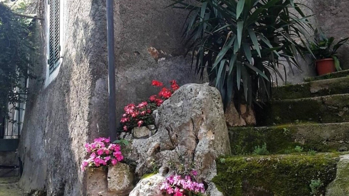 Artena Bed & Breakfast | B&B Rupe Antica