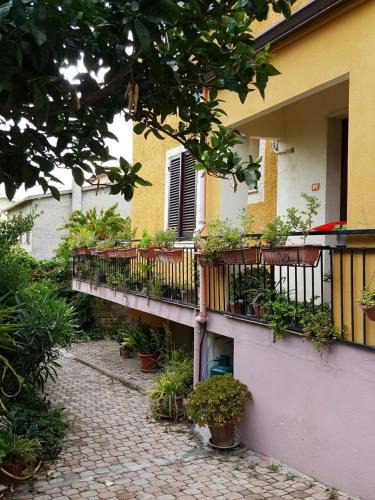 Ossi Bed & Breakfast | B&B Sara