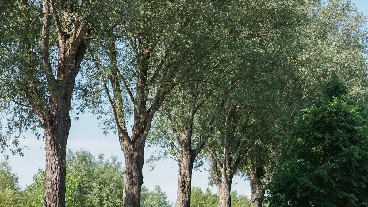 Oudenaarde Bed & Breakfast | B&B Scheldekant