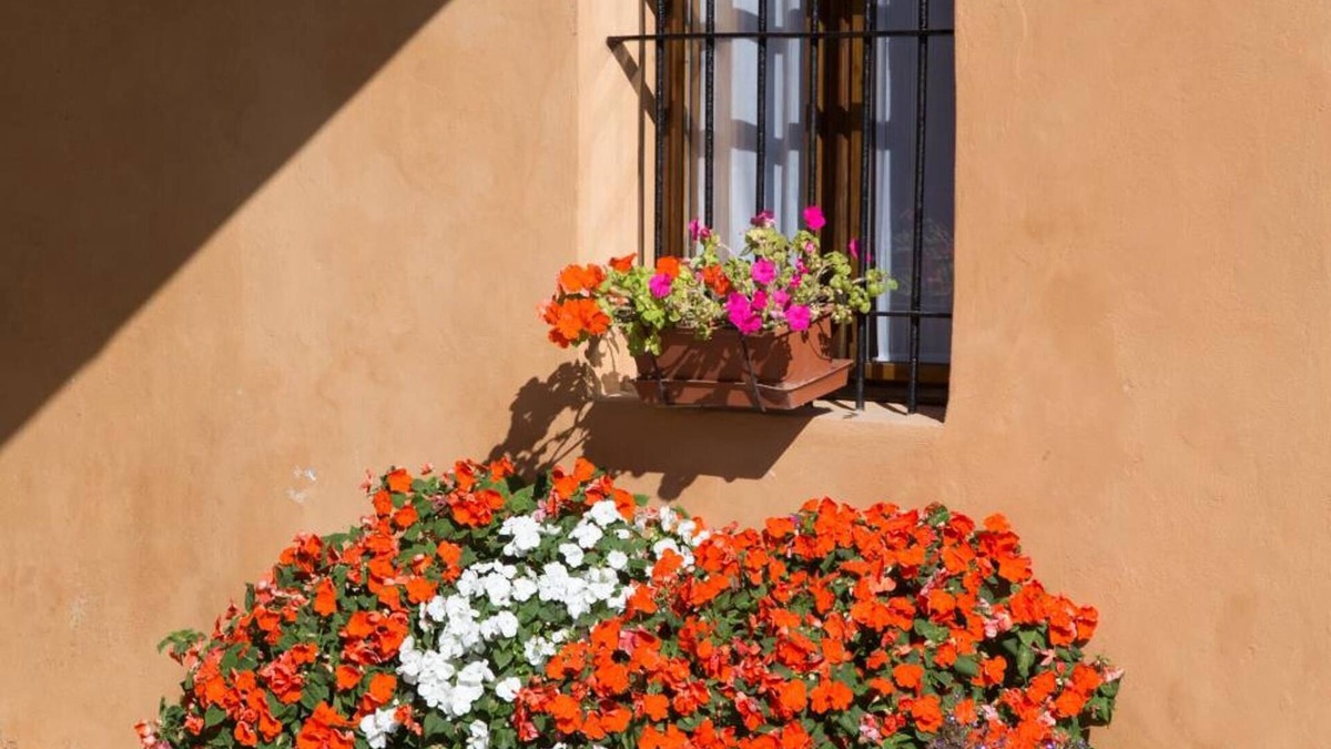 Cremona Bed & Breakfast | B&B Stradivari