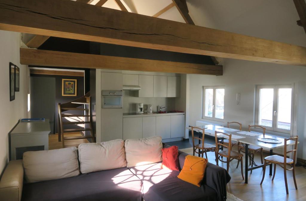 Kluisbergen House | B&B / Studio De Druivelaar in hartje Kluisbergen (Berchem)