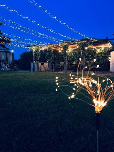 Bernalda Bed & Breakfast | B&B Villa degli Angeli