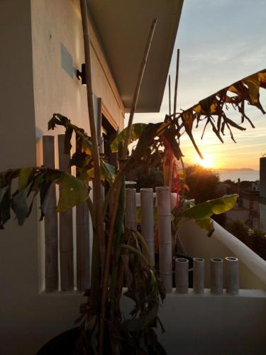Procida Bed & Breakfast | B&b Villa Rosalia