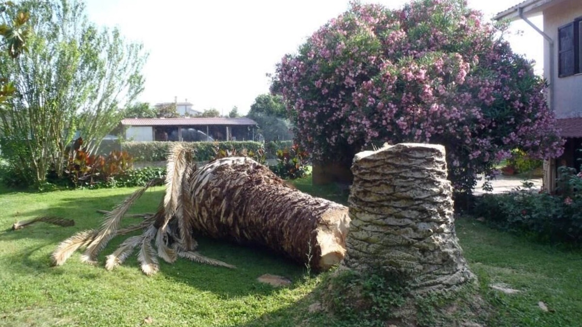 Civitavecchia Bed & Breakfast | B&B Villa Sans Souci