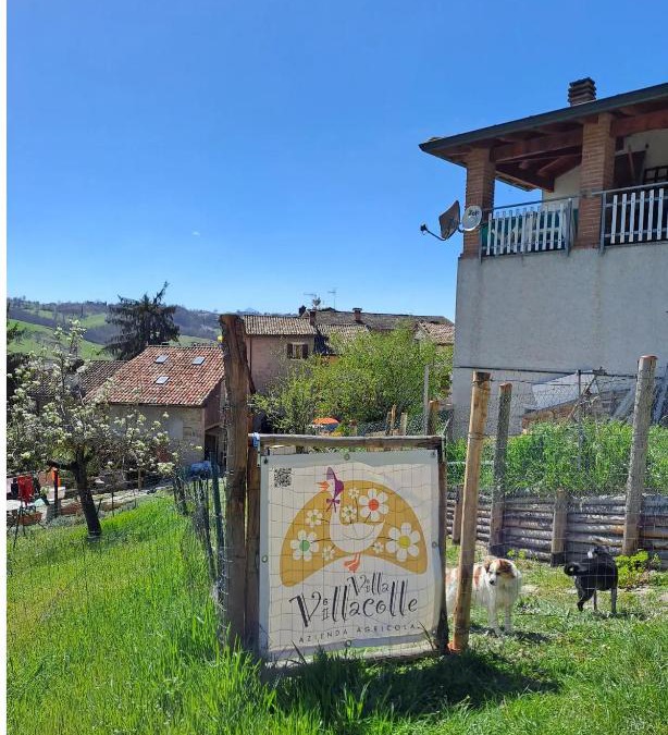 Casina Bed & Breakfast | B&B Villa Villacolle
