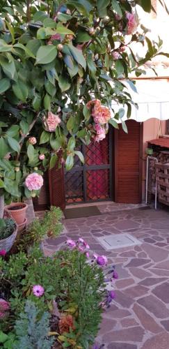 Marco Simone Bed & Breakfast | B&B Vista su Roma
