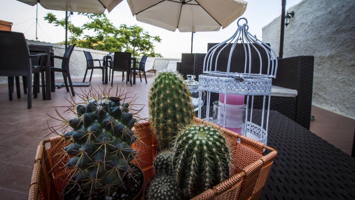 Agrigento Bed & Breakfast | b&b Vistamare