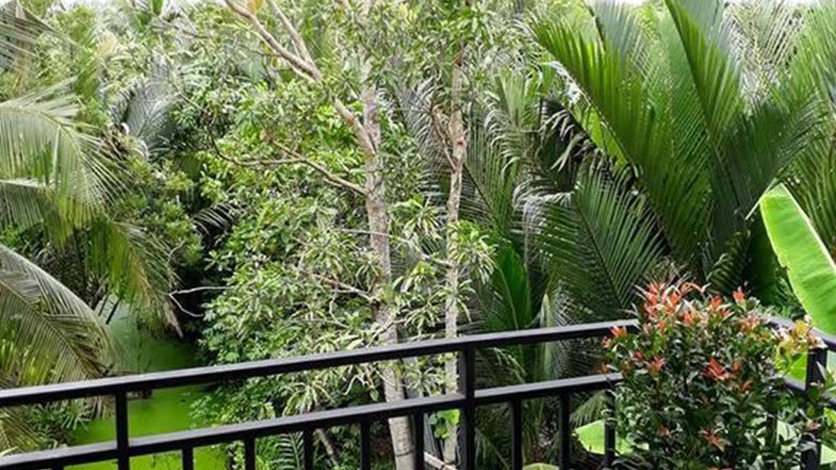 Bang Kobua Hotel | Baan Klangsuan Bang Korbua