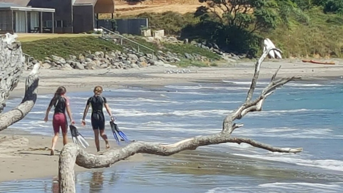 Taiharuru House | Bach at the beachn- Situated at Taiharuru (east coast near Whangarei, Northland)