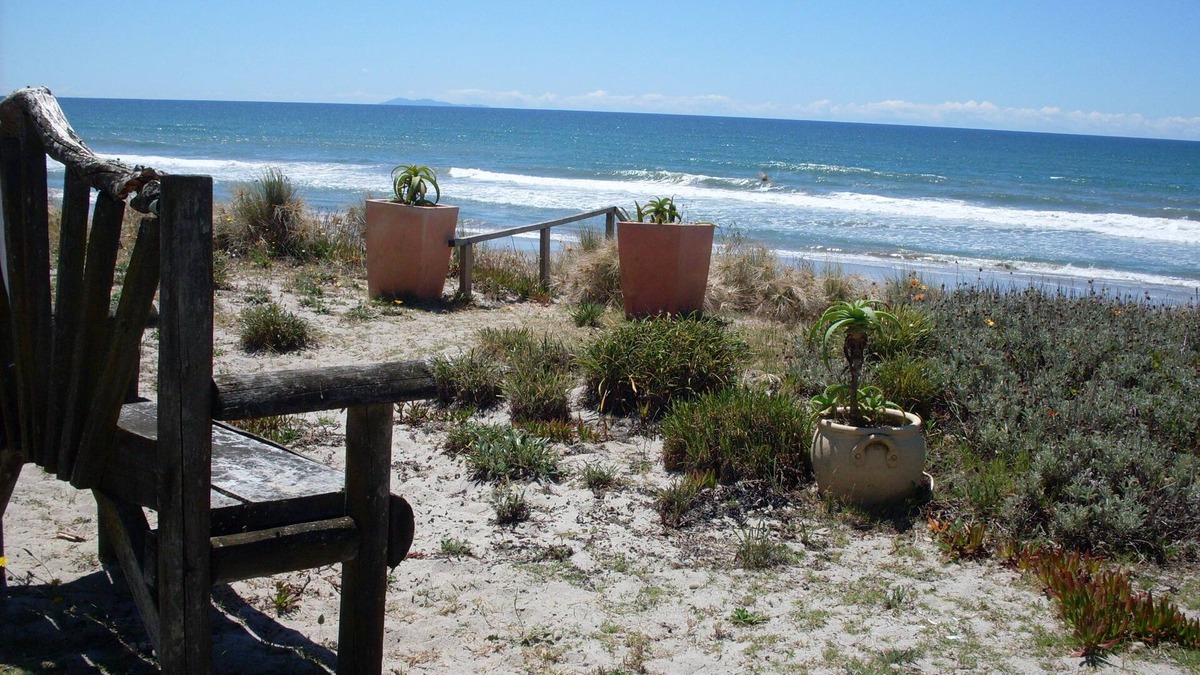Papamoa Beach House | BACH on BEACH- Pipi Palace.
