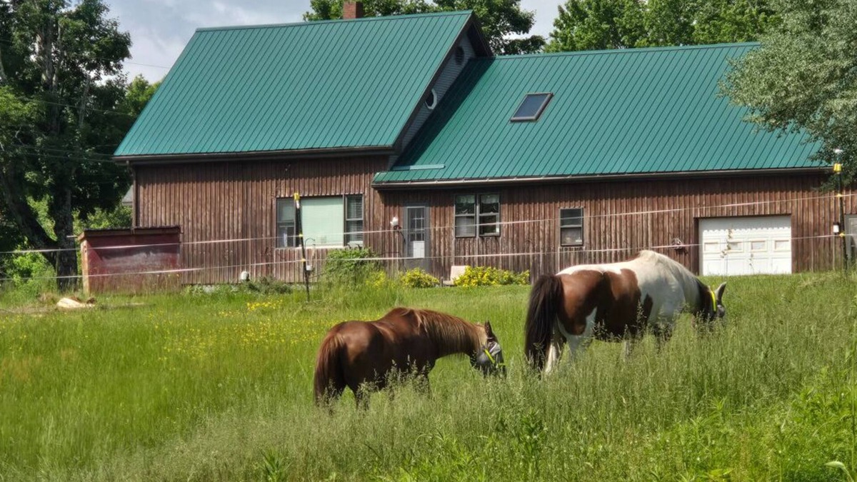 Corinth House | Backyard Bliss Near Bangor Concerts, Hiking, Trails. Pasture for Horses!