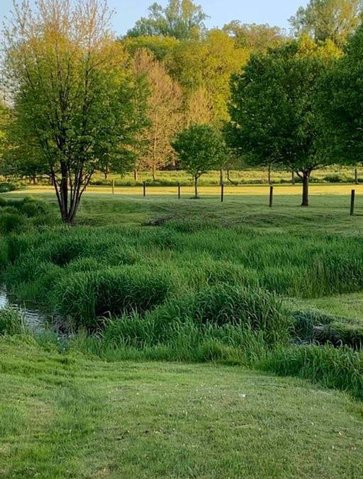 Steelville Apartment | Backyard Farm Retreat.Home of Peace an Relaxation.