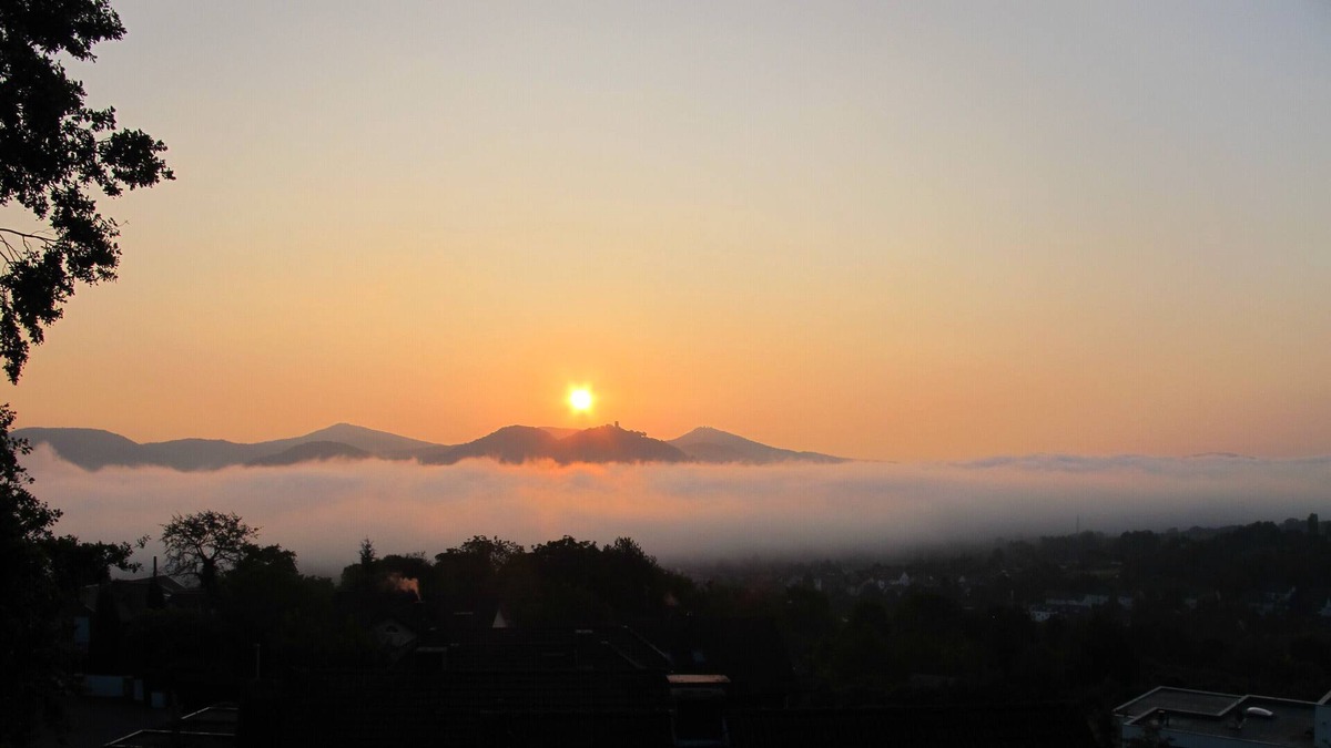 Heiderhof Apartment | Bad Godesberg quiet separate home with a view