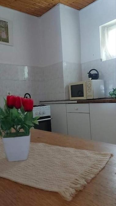 Badacsonyors House | Badacsonyi privát bérlemény