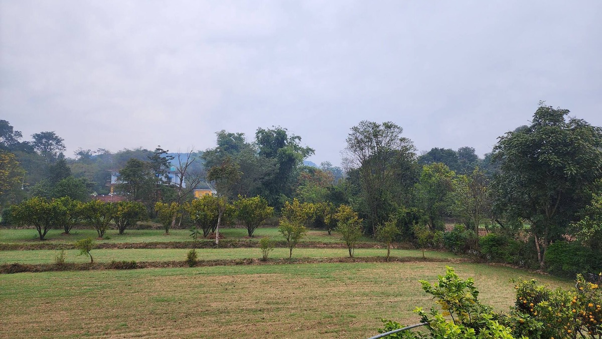 Baroh House | Badal Home Stay @Village Lifennfamily to this great place with lots of fun.