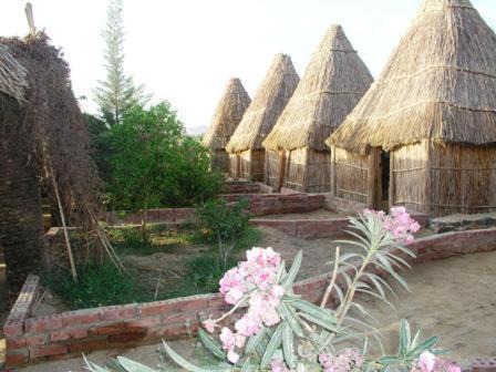 Bawati Other | Badry Sahara Camp