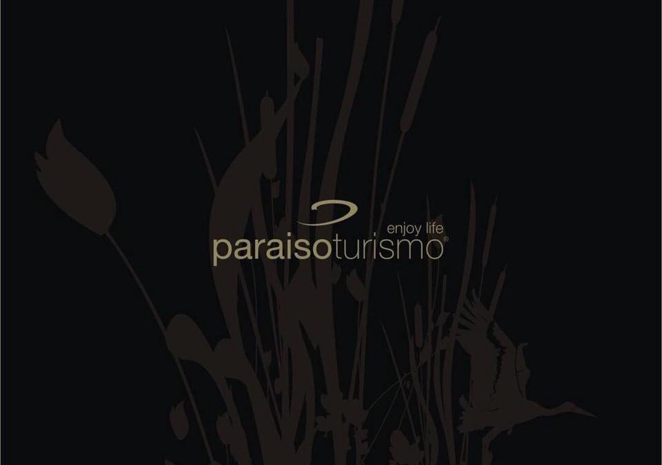 Oliveira do Bairro Apartment | BAIRRADA SUITE HOUSE BY HOTEL PARAISO