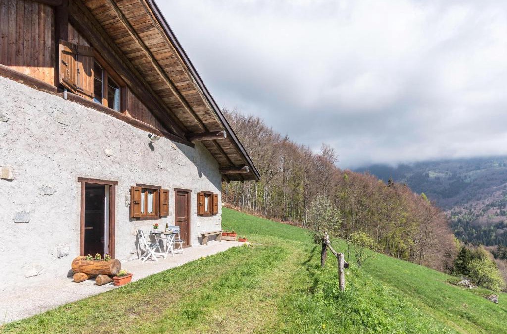 Roncone Ski Chalet | Baita Rustica immersa nel verde